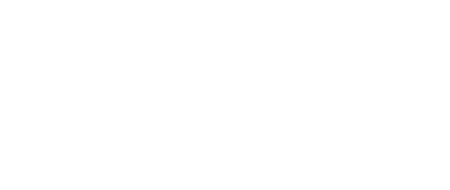 Nylon-Consulting-Client-Palmer Weiss